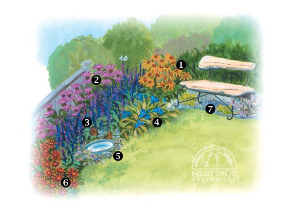 The Butterfly Garden Perennial Gardening